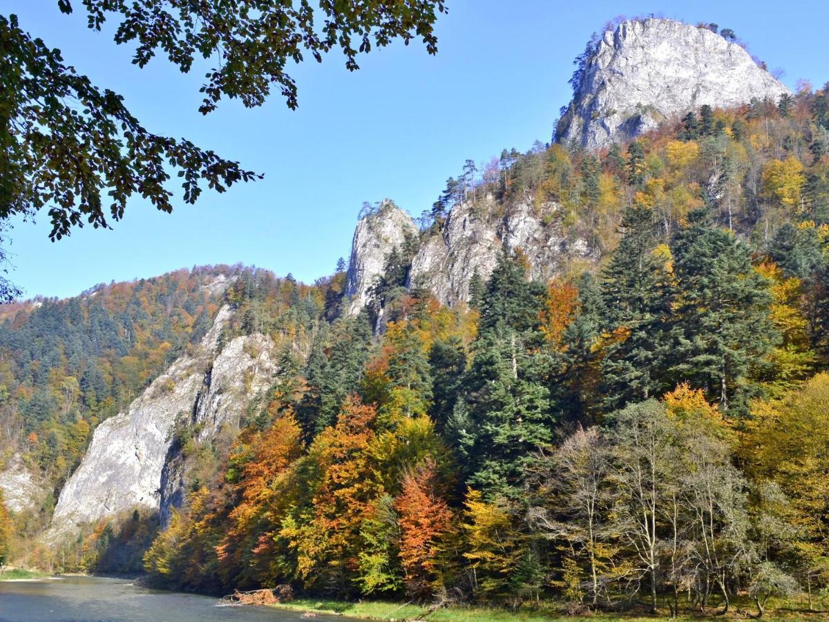 Na Szczycie Z Sauna I Kominkiem * Szczawnica