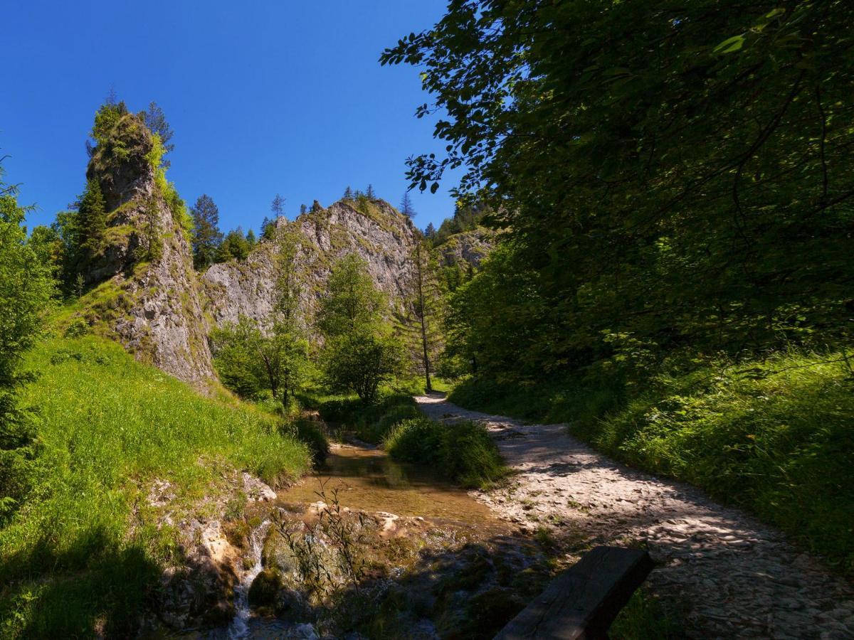 Na Szczycie Z Sauna I Kominkiem
