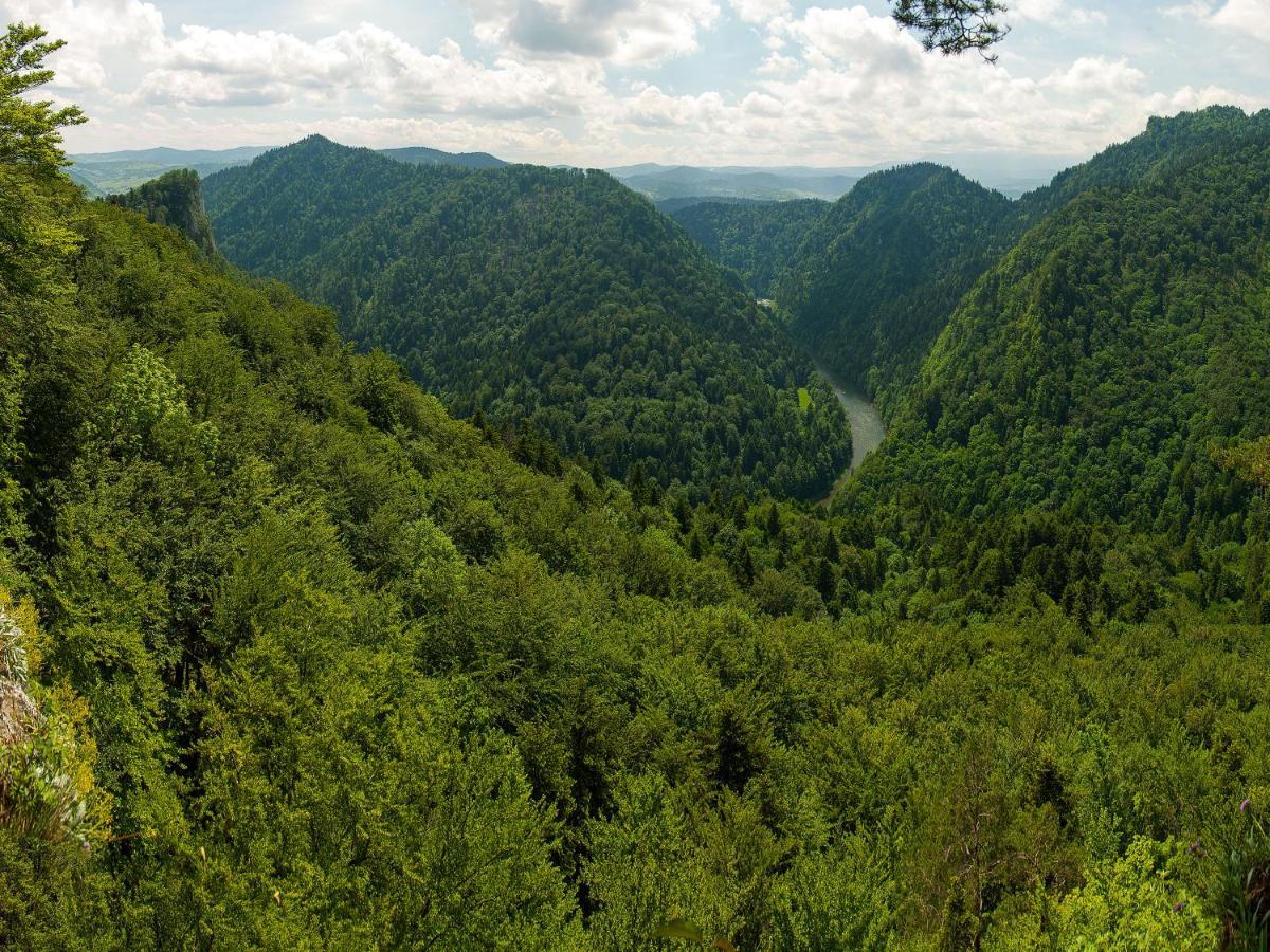Na Szczycie Z Sauna I Kominkiem * Szczawnica